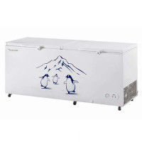 容声冷柜BD/BC-310B/J