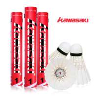 川崎/kawasaki川崎羽毛球-比赛级team1