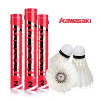 川崎/kawasaki川崎羽毛球-比赛级team2