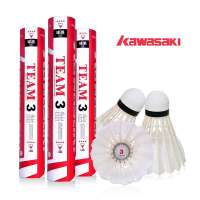 川崎/kawasaki川崎羽毛球-比赛级team3