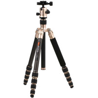 美孚三脚架C1350Q1香槟金