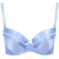 红豆居家文胸夏日风情高贵性感聚拢丰胸调整型蓝色(B75)2B410