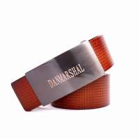 丹马仕(D.M.S)2012新款韩版时尚潮流男士板扣腰带红棕色DY030-01