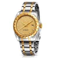 飞亚达经典款式女士金色机械手表LJ066.TGT