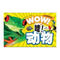 小小发现者看世界：哇！动物