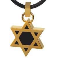 禾场尚腾 LTG系列镀18K金雅歌系列D款大卫之星项链