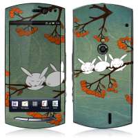 IdeaSkin索尼爱立信MT15i保护膜午睡中