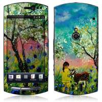 IdeaSkin索尼爱立信MT15i保护膜果园