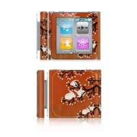 IdeaSkin苹果nano6保护膜171