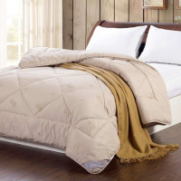 玛克家纺新生代银粉印花精品超大双人驼绒被220*240cm