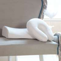 记忆枕两件套[腰靠+护颈枕]