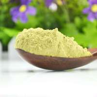 天福茗茶蒸青绿茶粉纯天然食用100%日本传统煎茶粉*5