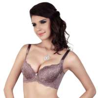 仙子宜岱公主系列时尚模杯文胸红咖啡(B85)1235