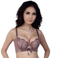 仙子宜岱幻变云彩3/4立体模杯文胸红咖啡(C80)1275