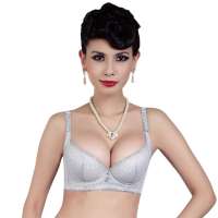 仙子宜岱维纳斯3/4模杯文胸银灰(A70)1259