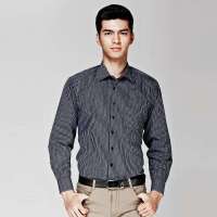 HODO红豆男士条纹条纹正装长袖衬衫HDHCB7081(蓝紫色41)