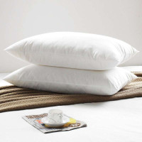 宝缦助睡眠超柔超弹俪人枕