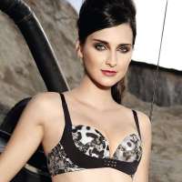 雅歌莉时尚V型低鸡心中厚文胸乌梅(80B)LA1189