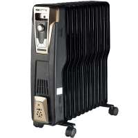 先锋(singfun)油汀DS1043