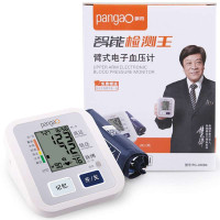 攀高智能检测王臂式电子血压计PG-800B6