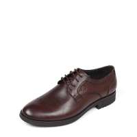 LIONPASS 狮行天下2012秋季棕色牛皮男鞋8456AS 41