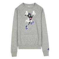 Nike 耐克  女子套头衫406736-063 L