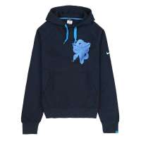 Nike 耐克  男子套头衫436262-451 XXXL