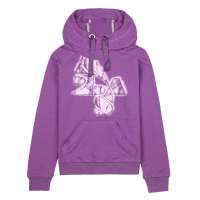 Adidas 阿迪达斯女子 运动休闲连帽套衫V38761 XL