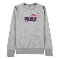 Puma 彪马男子针织卫衣55942601 XXL