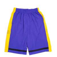 Nike 耐克  2012新款男子针织短裤502696-487 XL