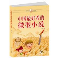 中国最好看的微型小说