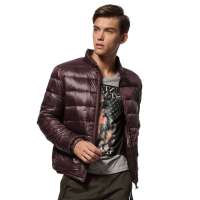 2012 秋冬新品 波司登 羽绒服正品 男亮面休闲轻薄短款 B120102312619(深酱紫)185/100A