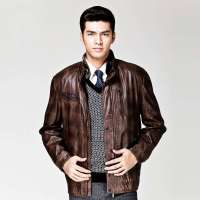 HODO红豆轩帝尼立领夹克保暖仿皮皮衣DGGM4AGFR08(Y13深咖啡175/92A)