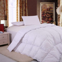 凯诗风尚纤丝绒防羽春秋被 羽丝绒被(银色)
