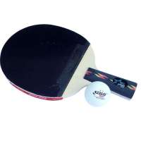 DHS红双喜横拍双面长反胶乒乓球拍X4003