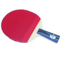 DHS红双喜直拍双面长反胶乒乓球拍X5007