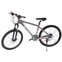 BVIOR山地自行车曼哈顿 超炫灰橘色