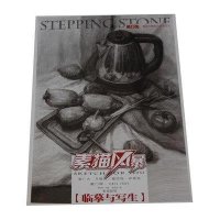 素描风暴——素描静物·临摹与写生