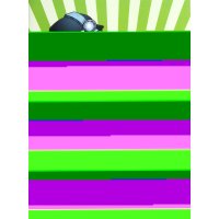 植物大迷宫.2.终极大决战