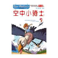 奇妙幻境冒险系列:空中小骑士