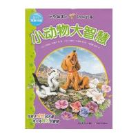 世界最美的动物故事：小动物大智慧