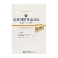 金砖国家社会分层 变迁与比较