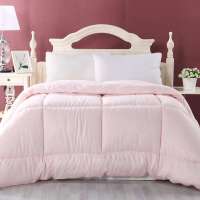 水星家纺 全涤面料 四孔春秋被芯  暖绒四孔春秋被 1.5米床 粉红色