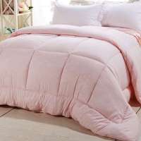 水星家纺 暖绒四孔冬被 全涤面料四孔纤维被芯 加厚冬被 1.2米床 红