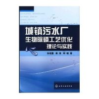城镇污水厂生物除磷工艺优化理论与实践