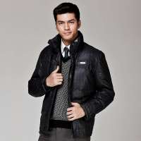 HODO红豆男士休闲细格子防风透气保暖羽绒服外套HDHJB8867(G4灰绿185/100A)