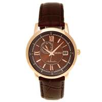 精工领航Ⅵ男表机械表SSA046J1