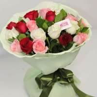 春舞枝 鲜花 三生缘(绿色包装) 21枝玫瑰 7枝红玫瑰 7枝白玫瑰 7枝粉玫瑰