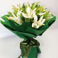 春舞枝 鲜花 阳光心情 9枝西伯利亚(多头)白百合