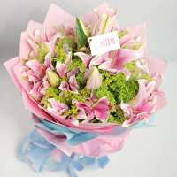 春舞枝 鲜花 点亮幸福 9枝索尔邦(多头)粉红百合